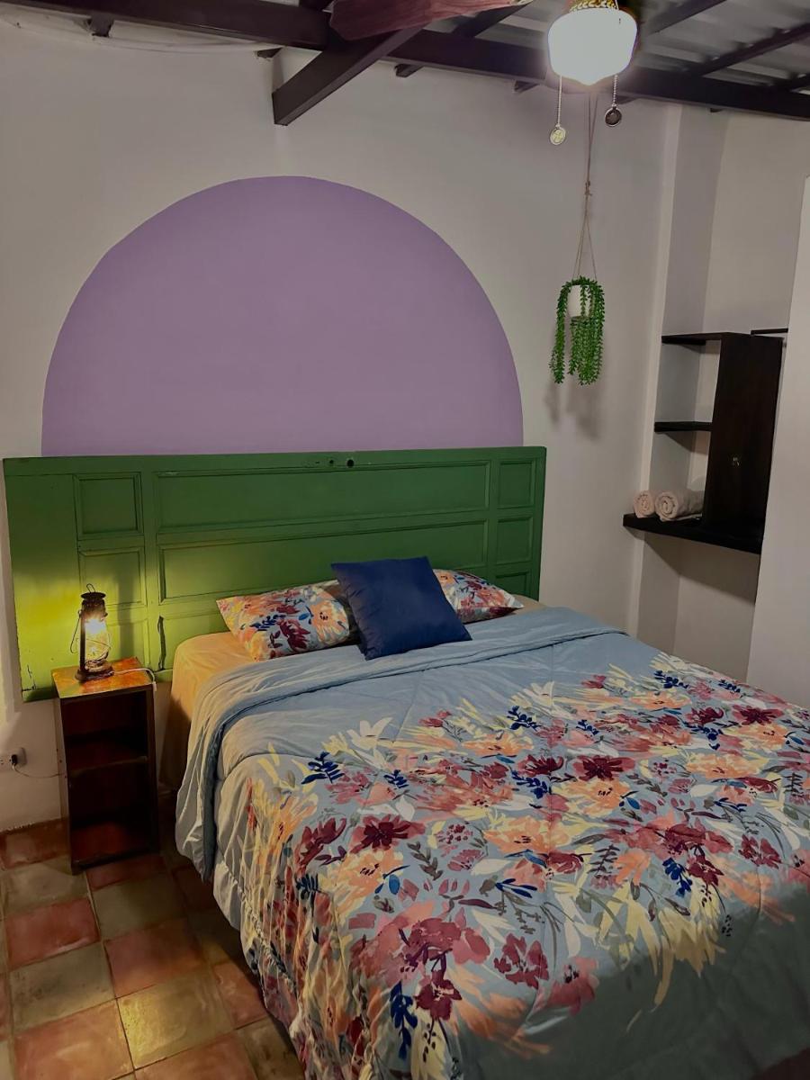 Donde Polo Hostal - Housity