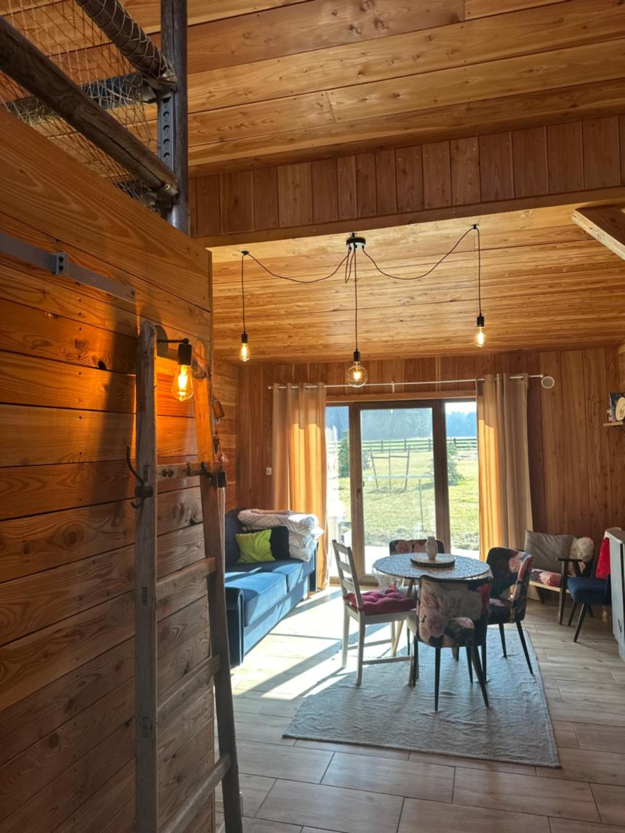 Leśny Zakątek Uroczysko -Apartamenty Nowoczesnej Stodoły - Housity
