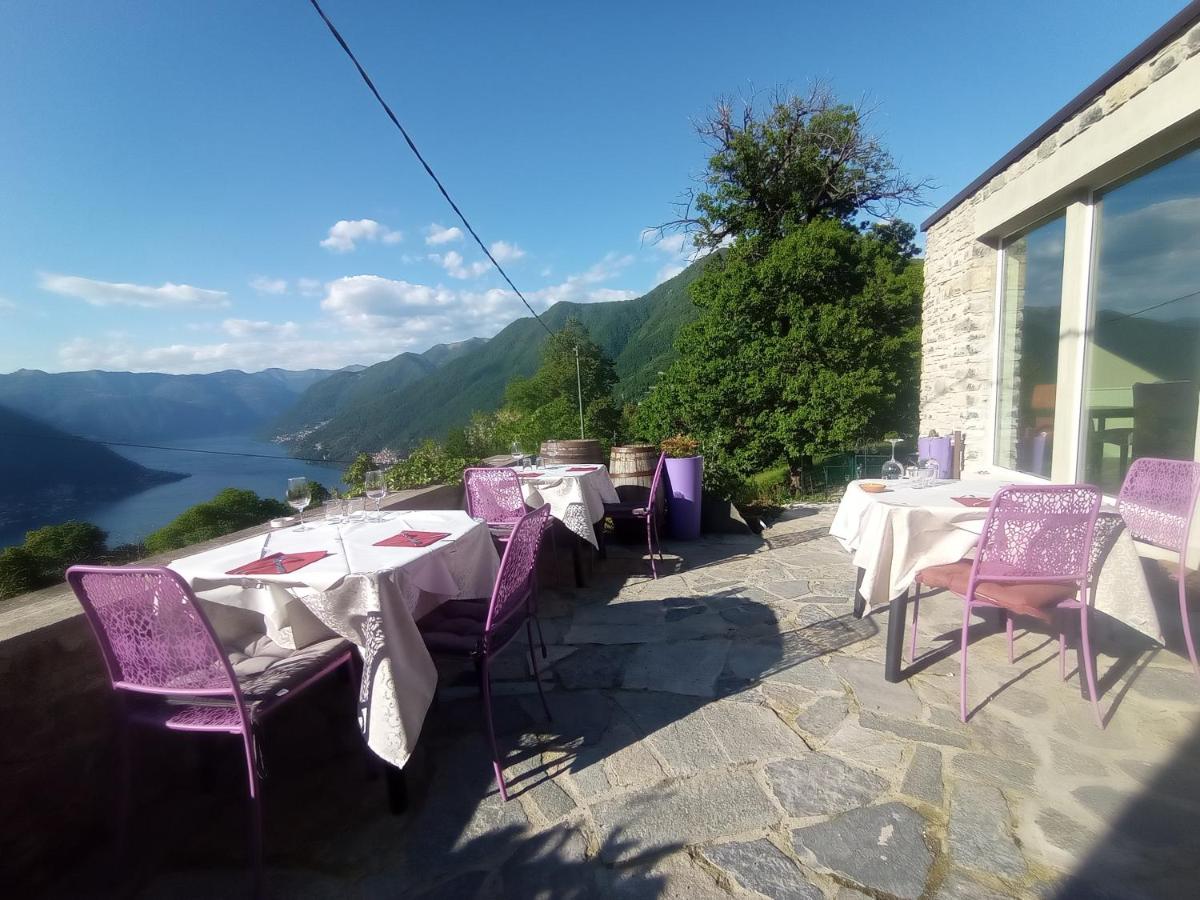 Essentia Guest House - Housity