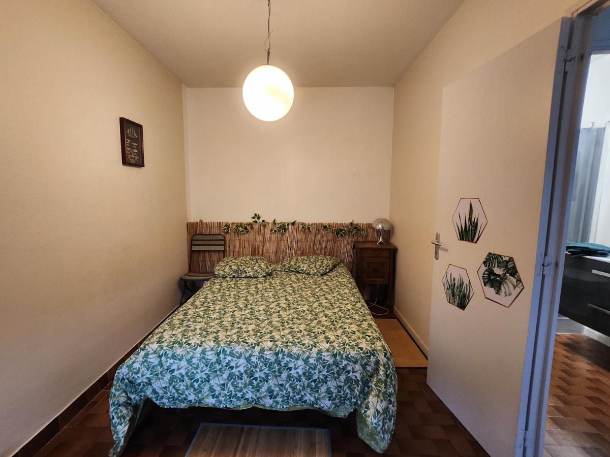 Dolphin's House - Housity