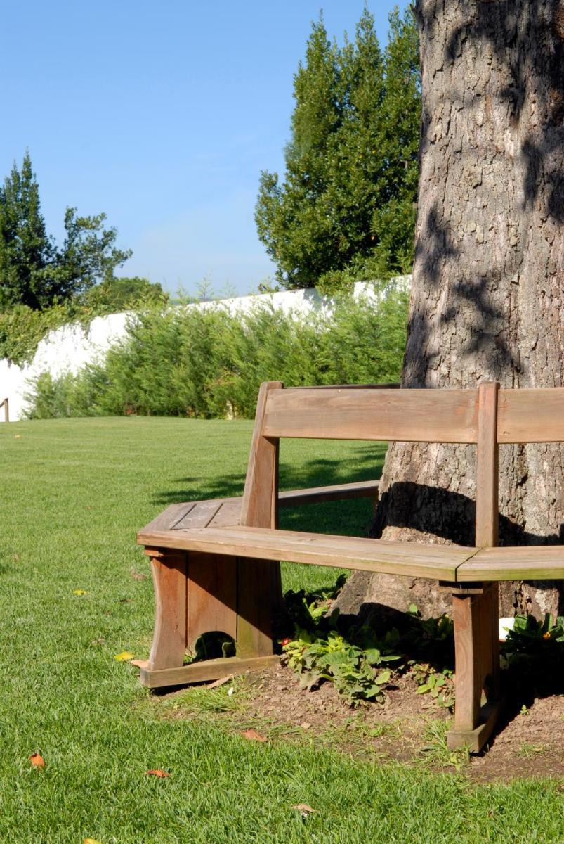 Um jardim no exterior de Octant Lousa