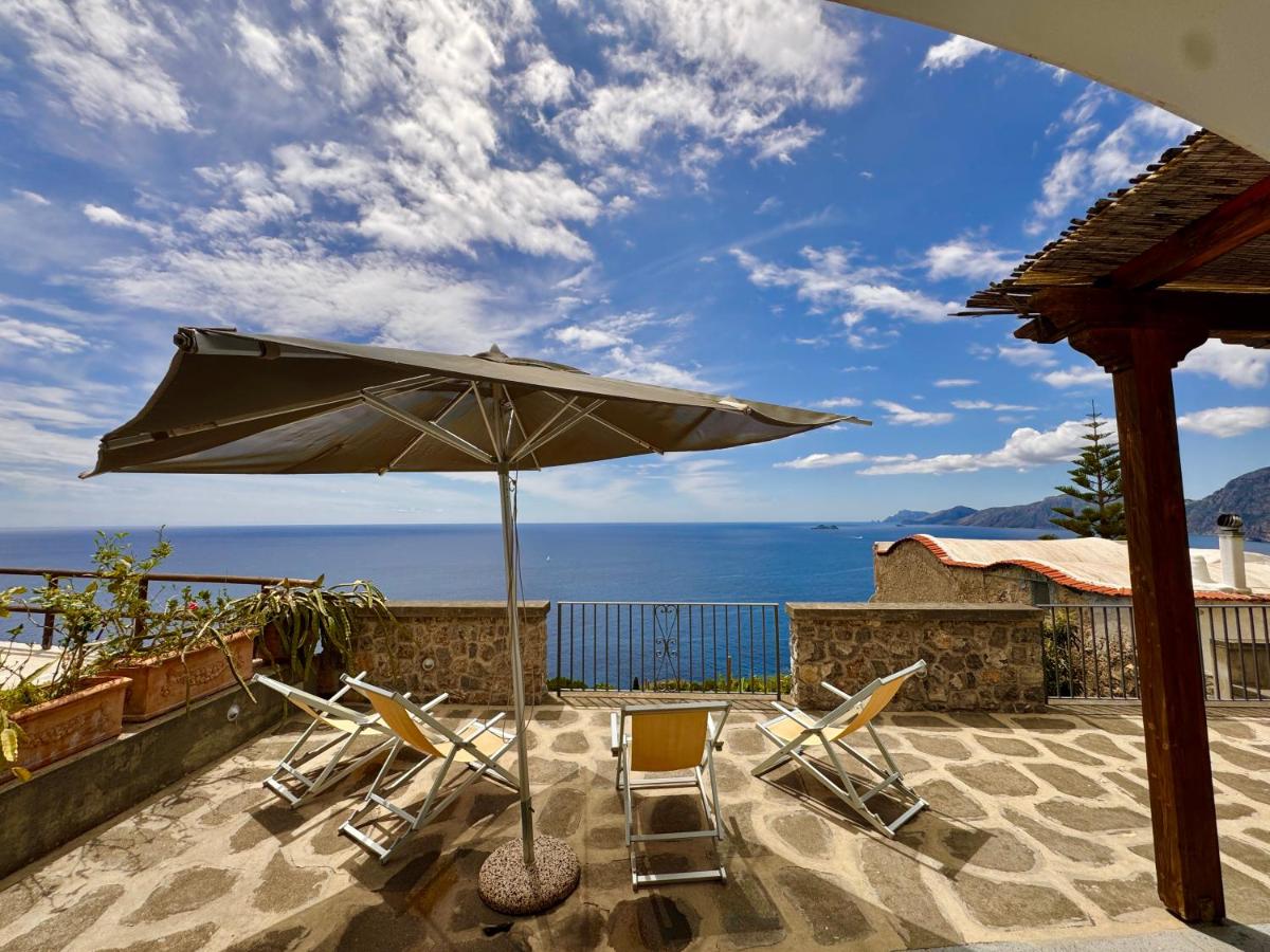 Villa Il Frantoio and Lilmar - Housity
