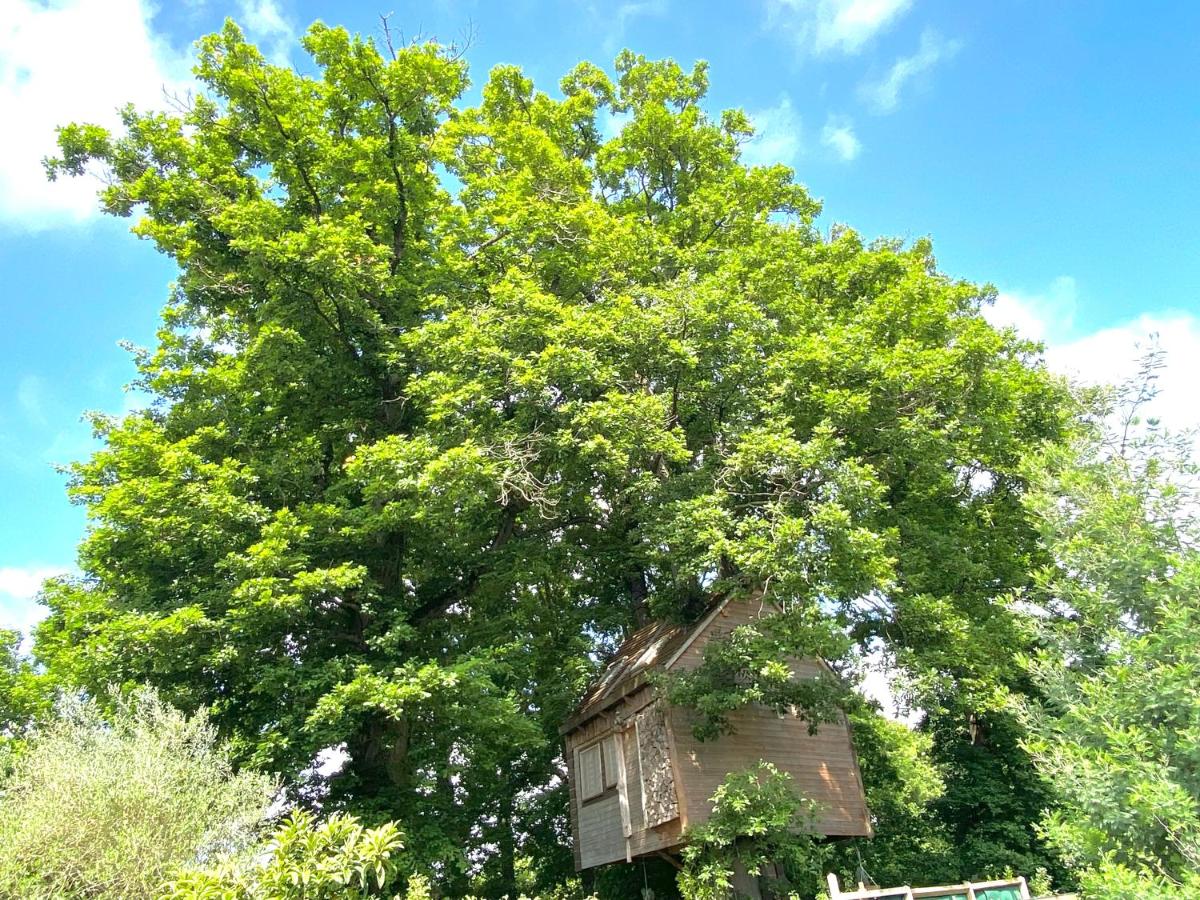 Cabane suspendue dans les arbres - Housity