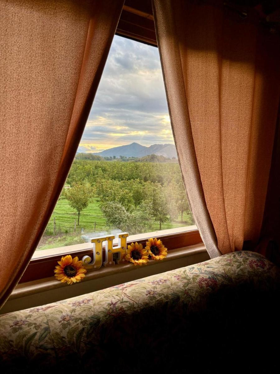 Jenny's House b&b - Housity