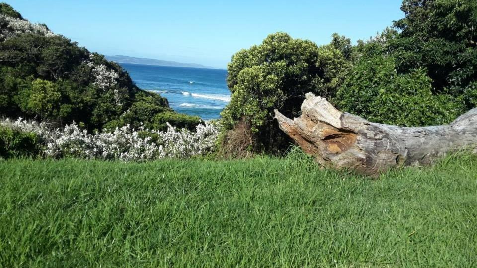 Under Milkwood - Housity