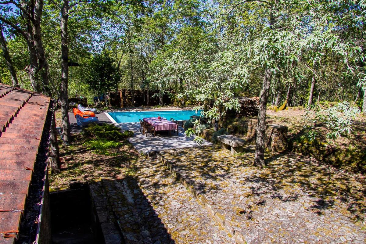 Liiiving in Caminha | Oak Tree Chill House - Housity