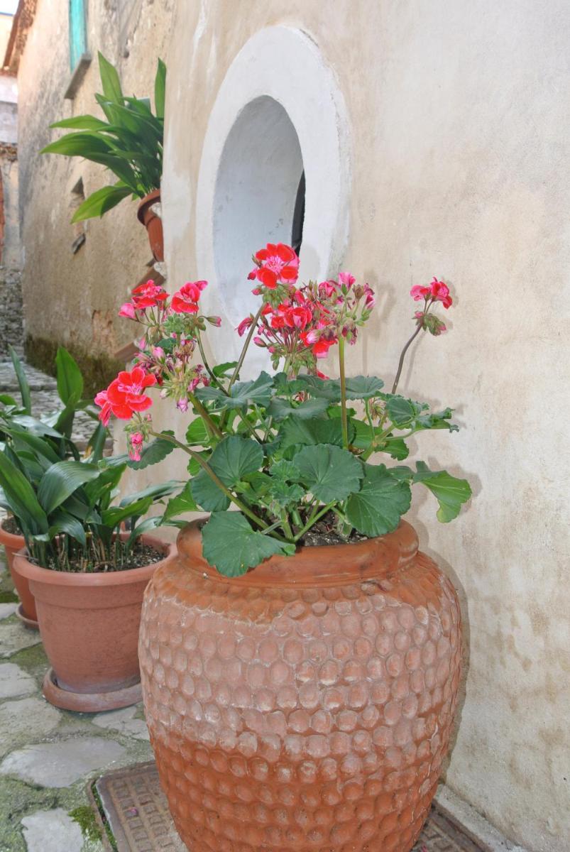 B&B Casa Antonia - Housity
