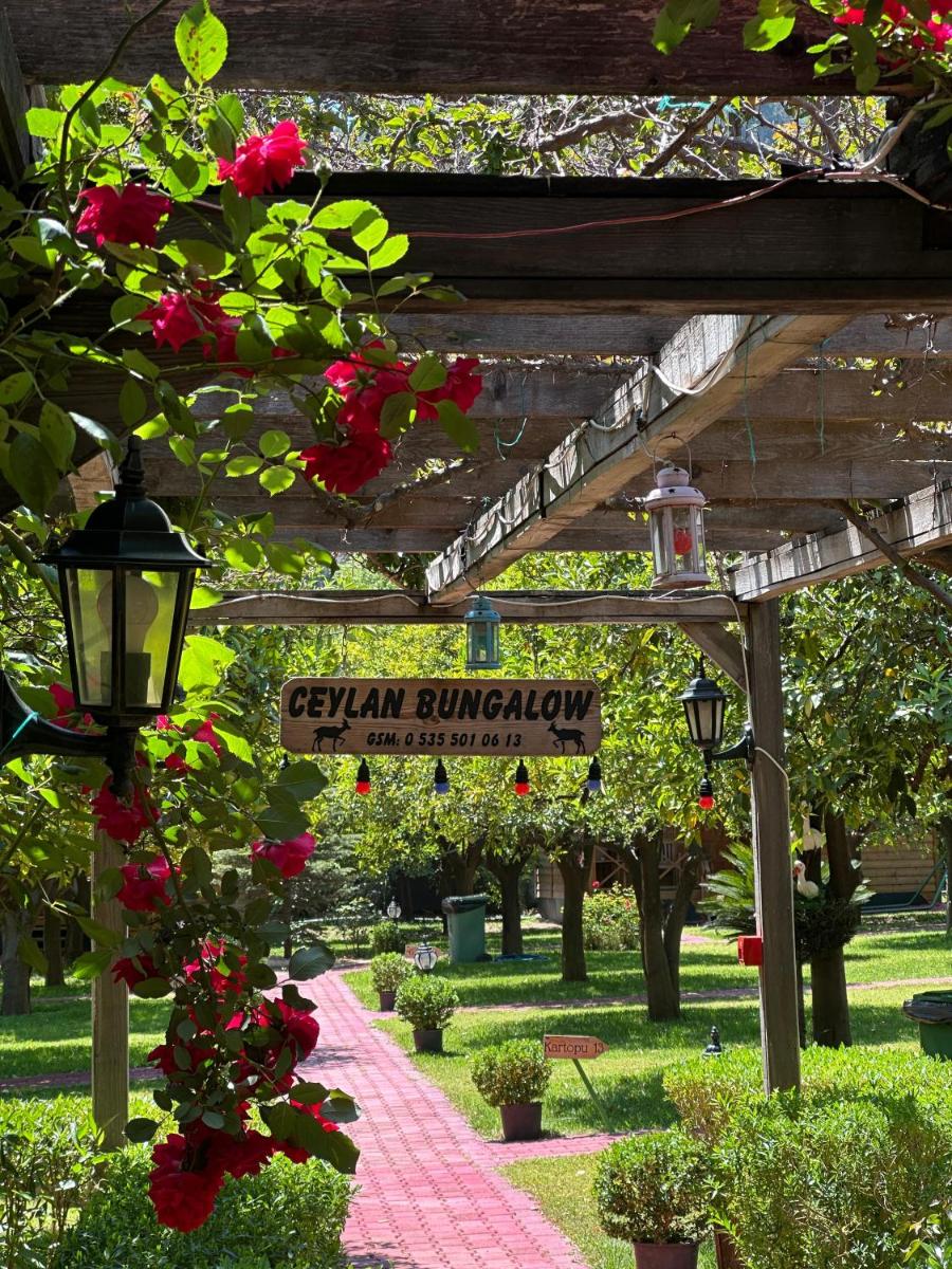 Ceylan Bungalow - Housity