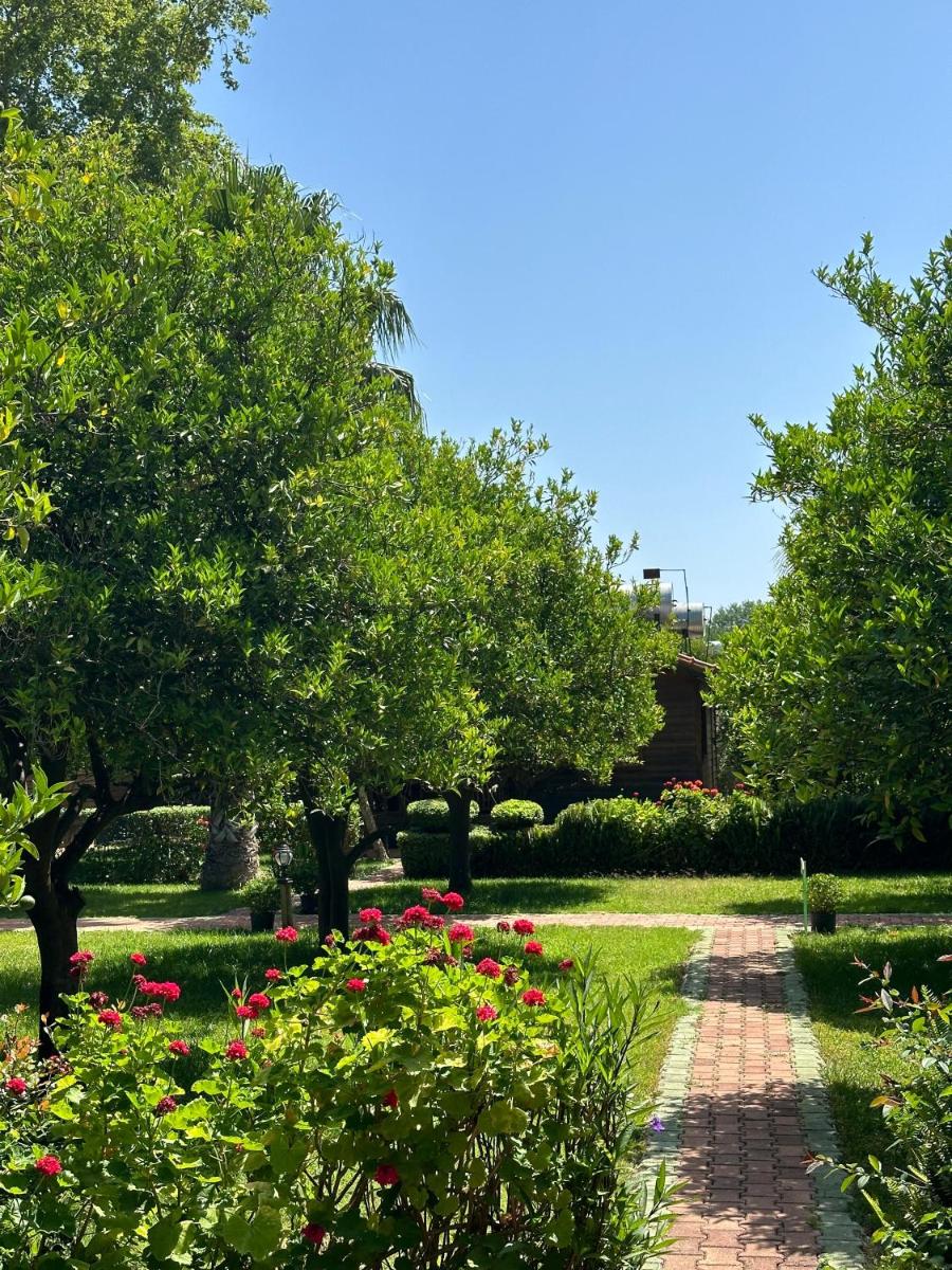 Ceylan Bungalow - Housity