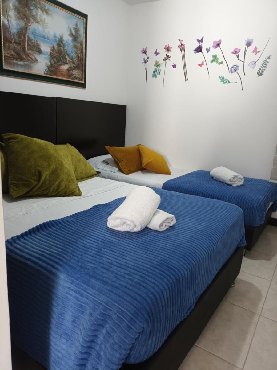 Colibrí Cafeterito - Housity
