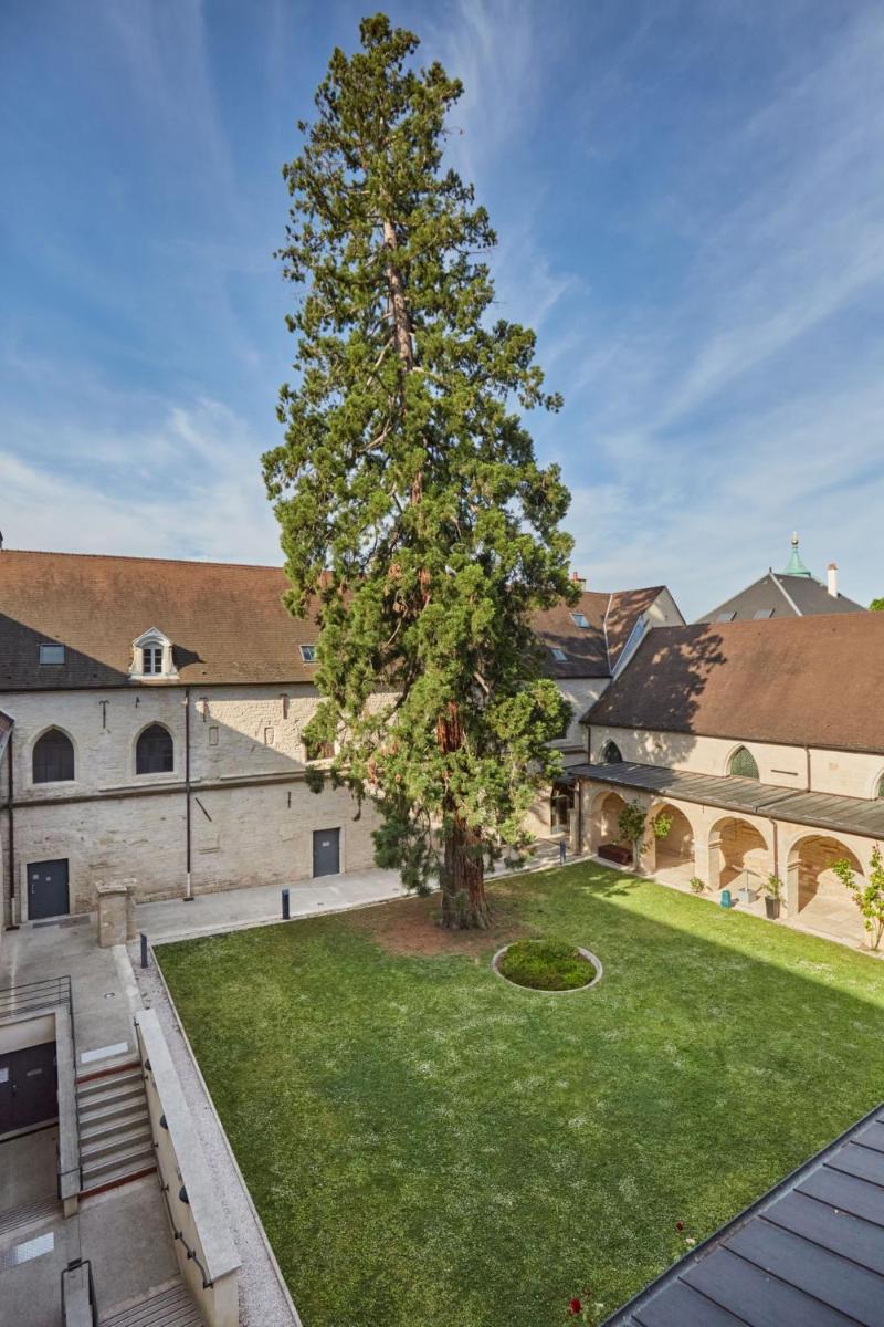 Jardin de l'établissement Appart'hôtel Odalys City - Dijon Centre Les Cordeliers