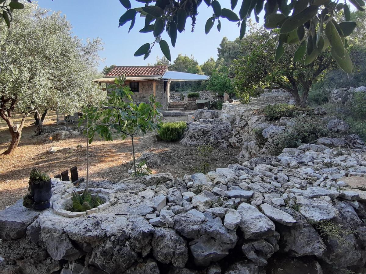 Secluded holiday house Pasman - 15649 - Housity