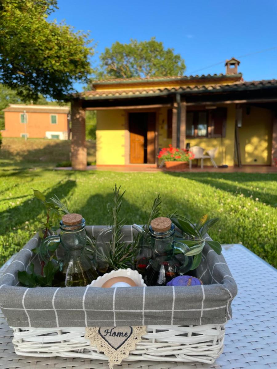 Lo Stucchio - Housity