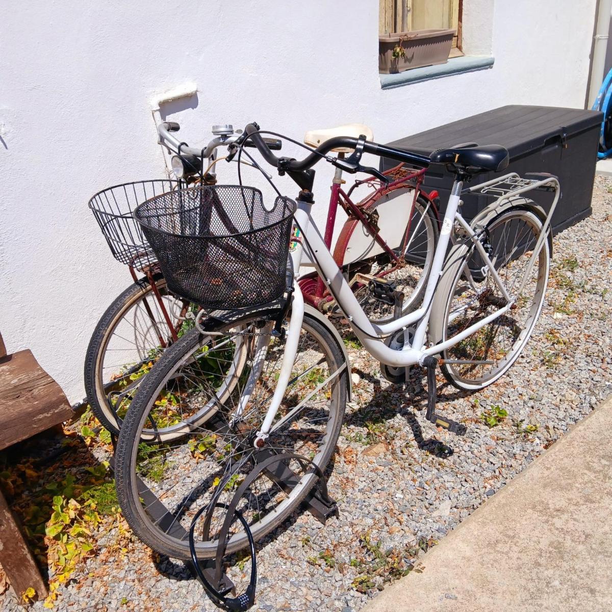 Grazioso bilocale in centro - Housity