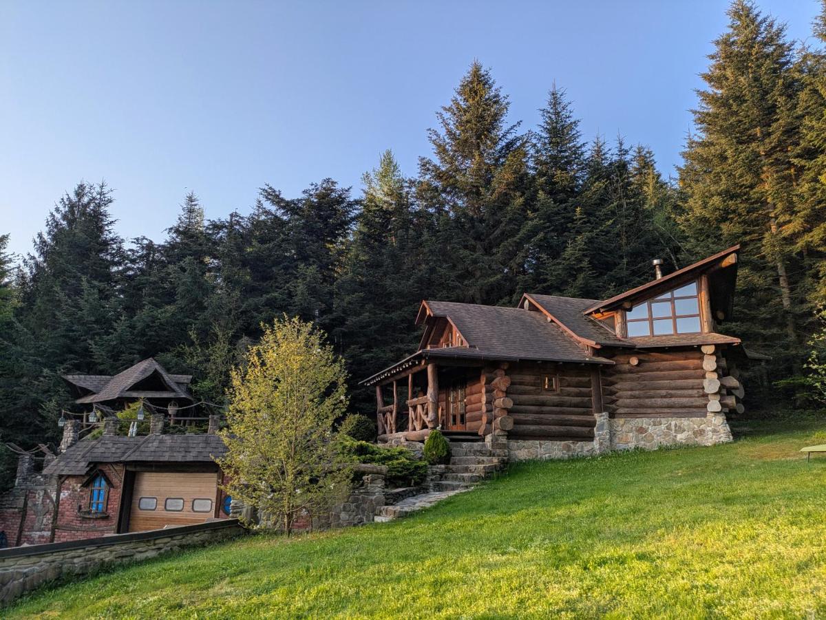 Forest House exclusive - Housity
