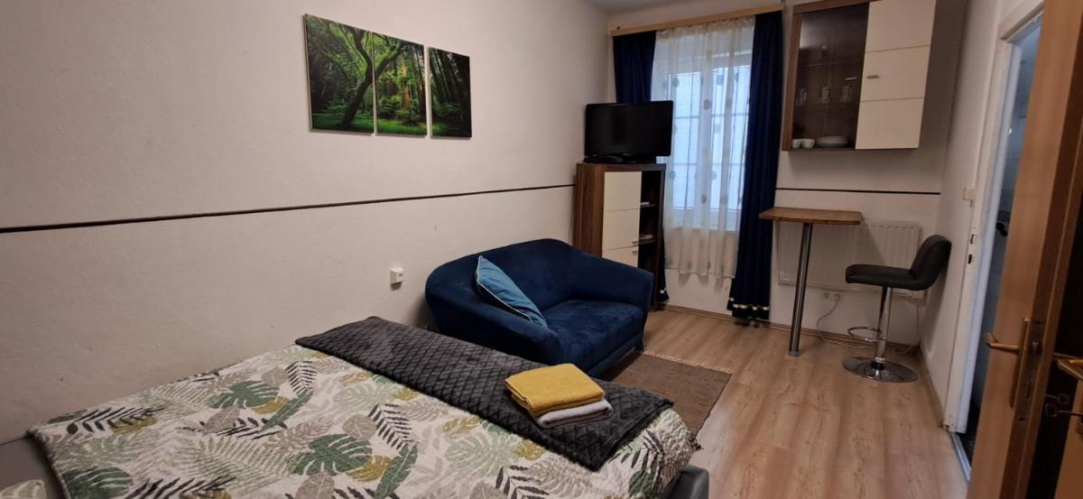 Apartment AP 1 im Zentrum Steyr, BESTROOMS eU - Housity