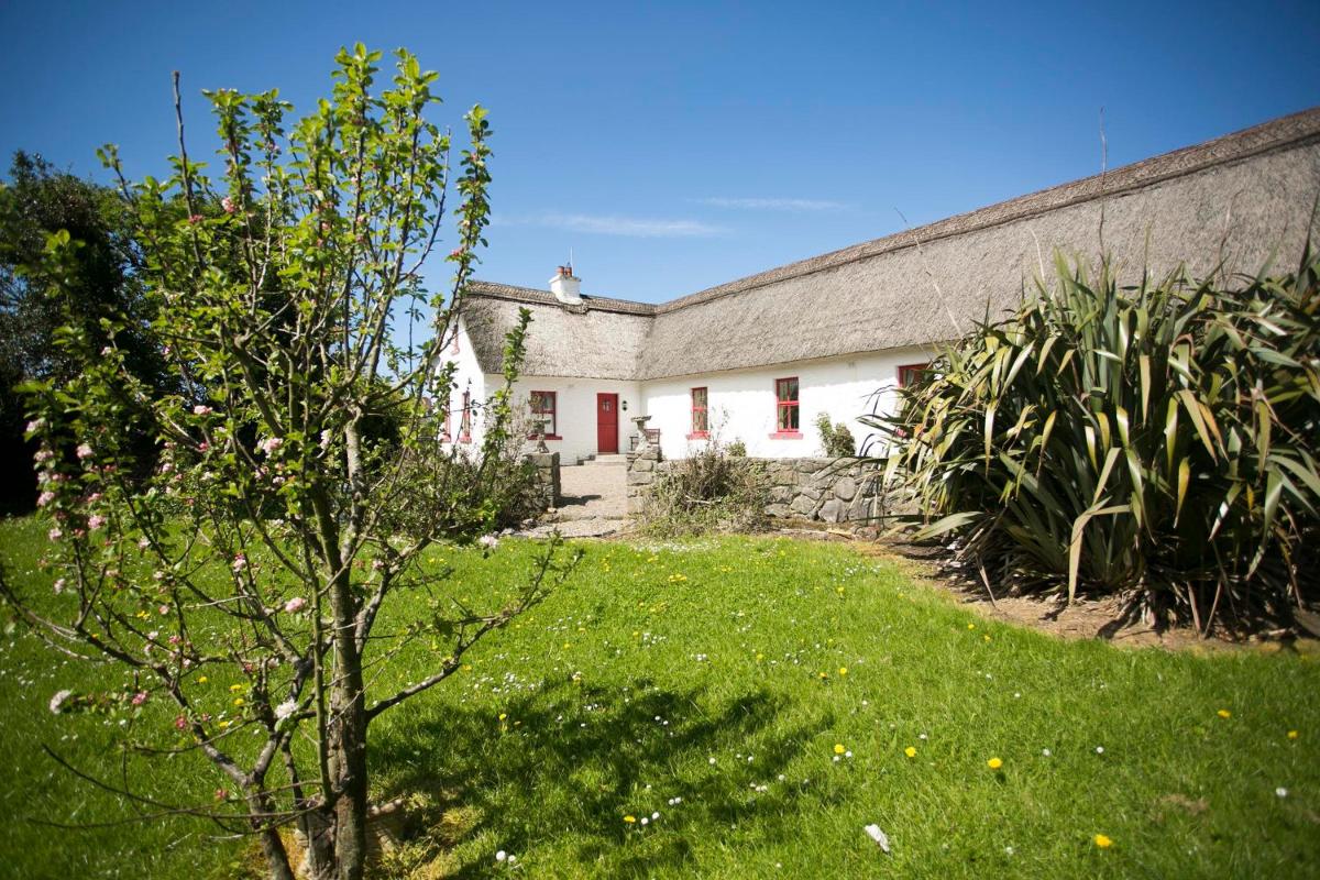 Rose Cottage - Housity