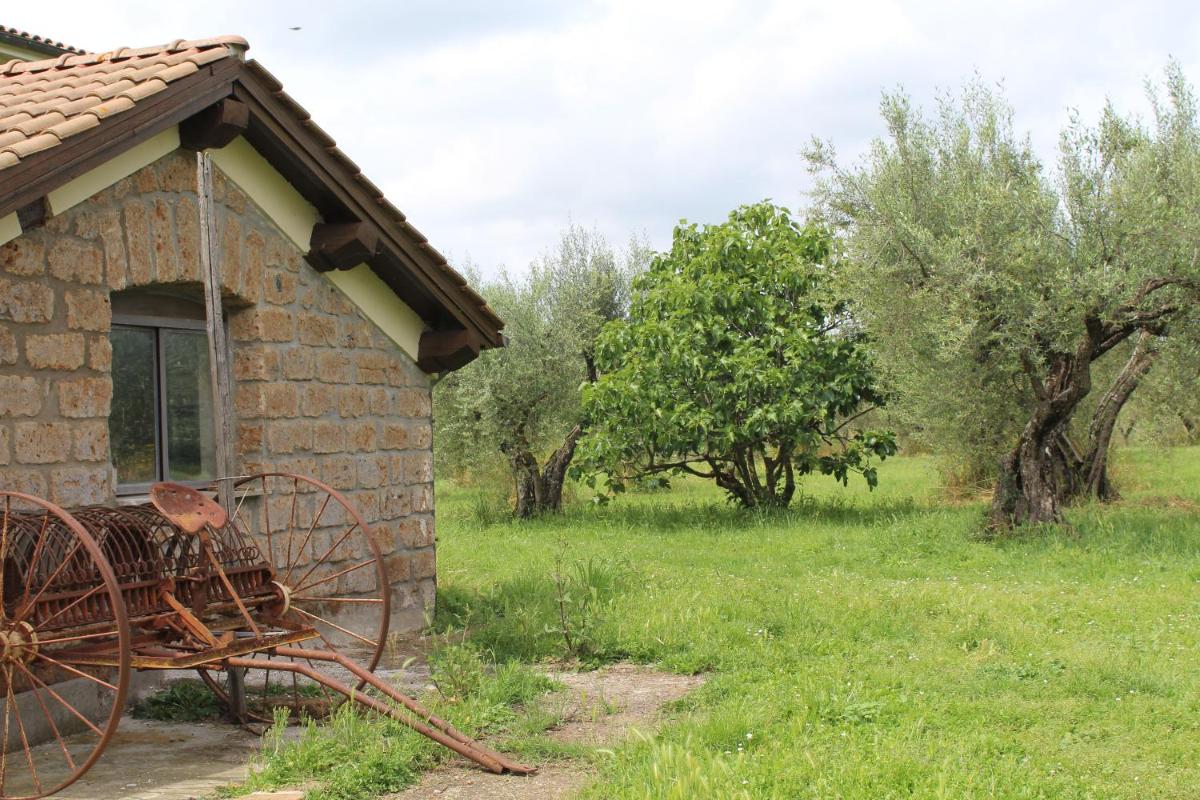 Alloggio turistico - Hizvo