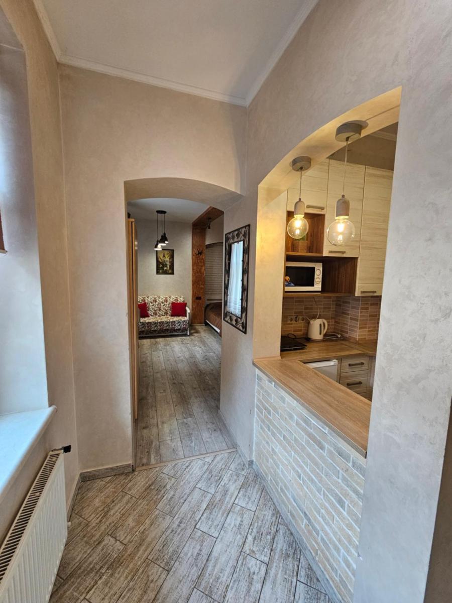 Apartment on Horodotska street - Housity