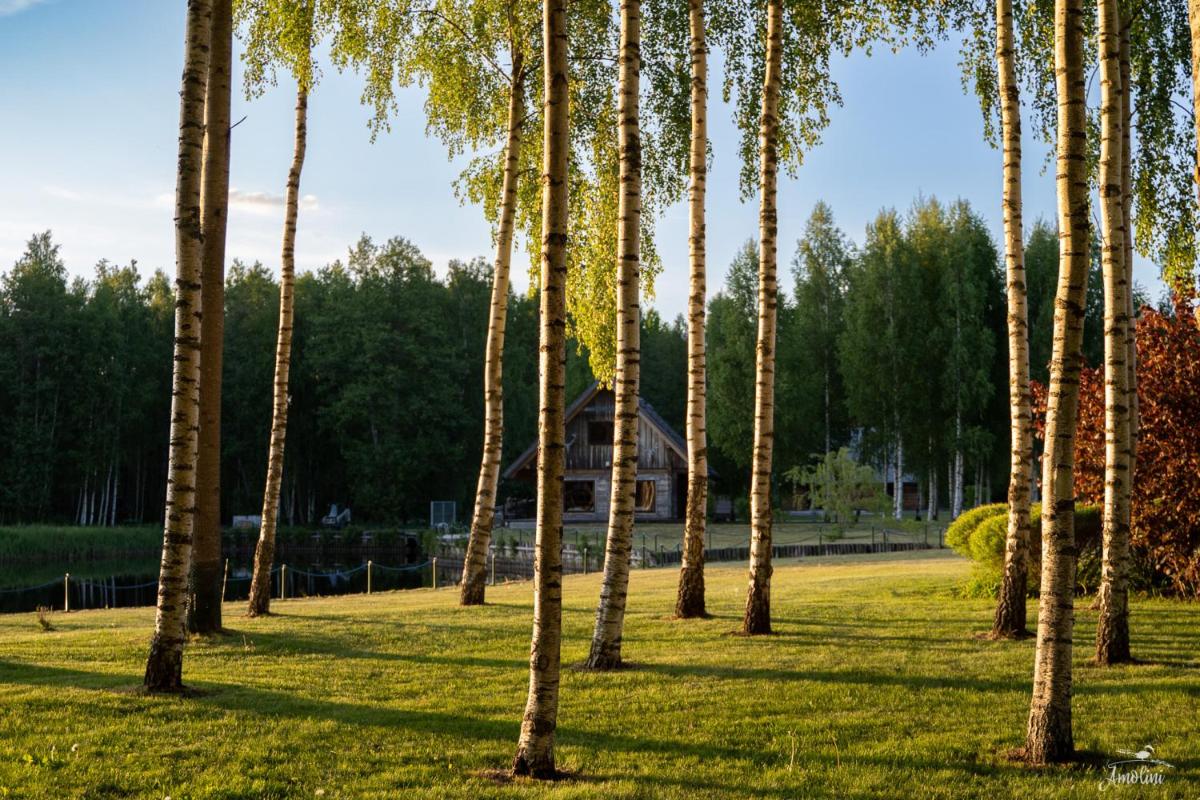 Amoliņi - Housity