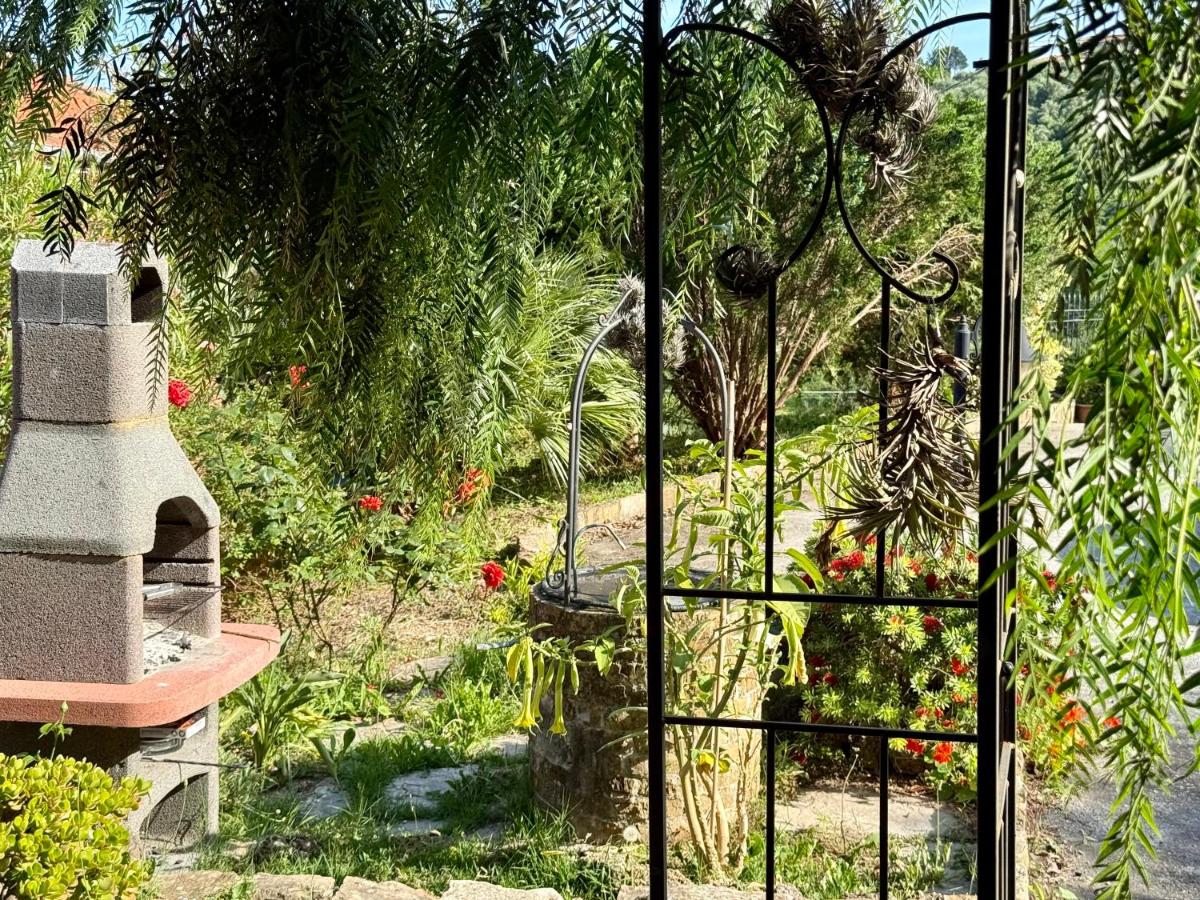 Olivo Al Mare - by Host4U - Housity
