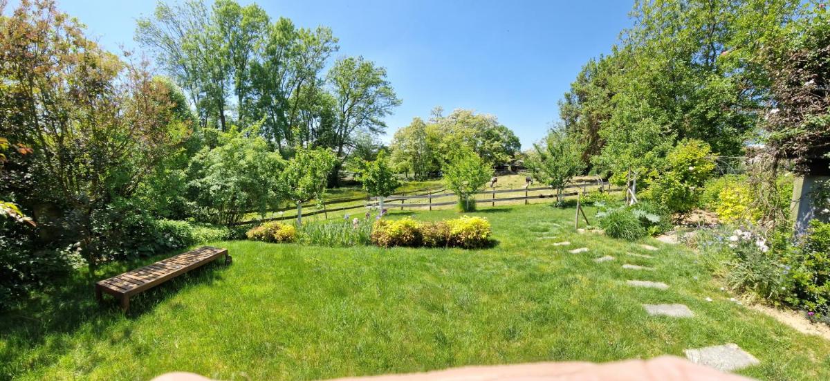 Gite Terre d'Helene 42 m2, confort 3 étoiles, wifi, paisible, proche Strasbourg et commerces,16 atouts, calme, animaux acceptés - Housity