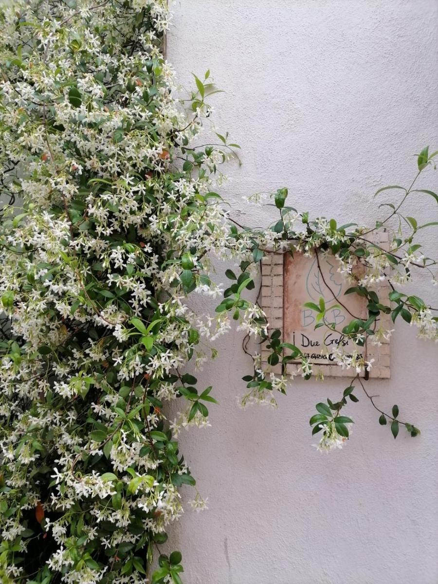 B&B I Due Gelsi - Housity