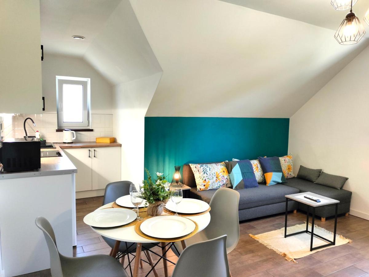 Apartamenty Jodłowa - bilard - bawialnia - królikarnia - Housity