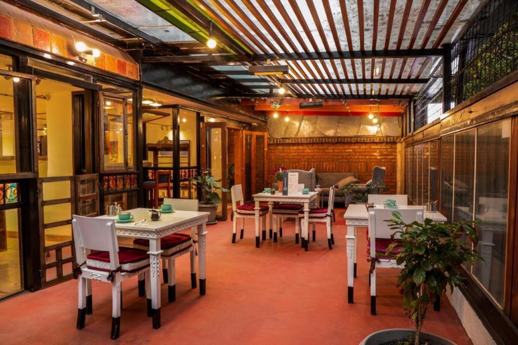Dolce Lobo Boutique Stay - Housity
