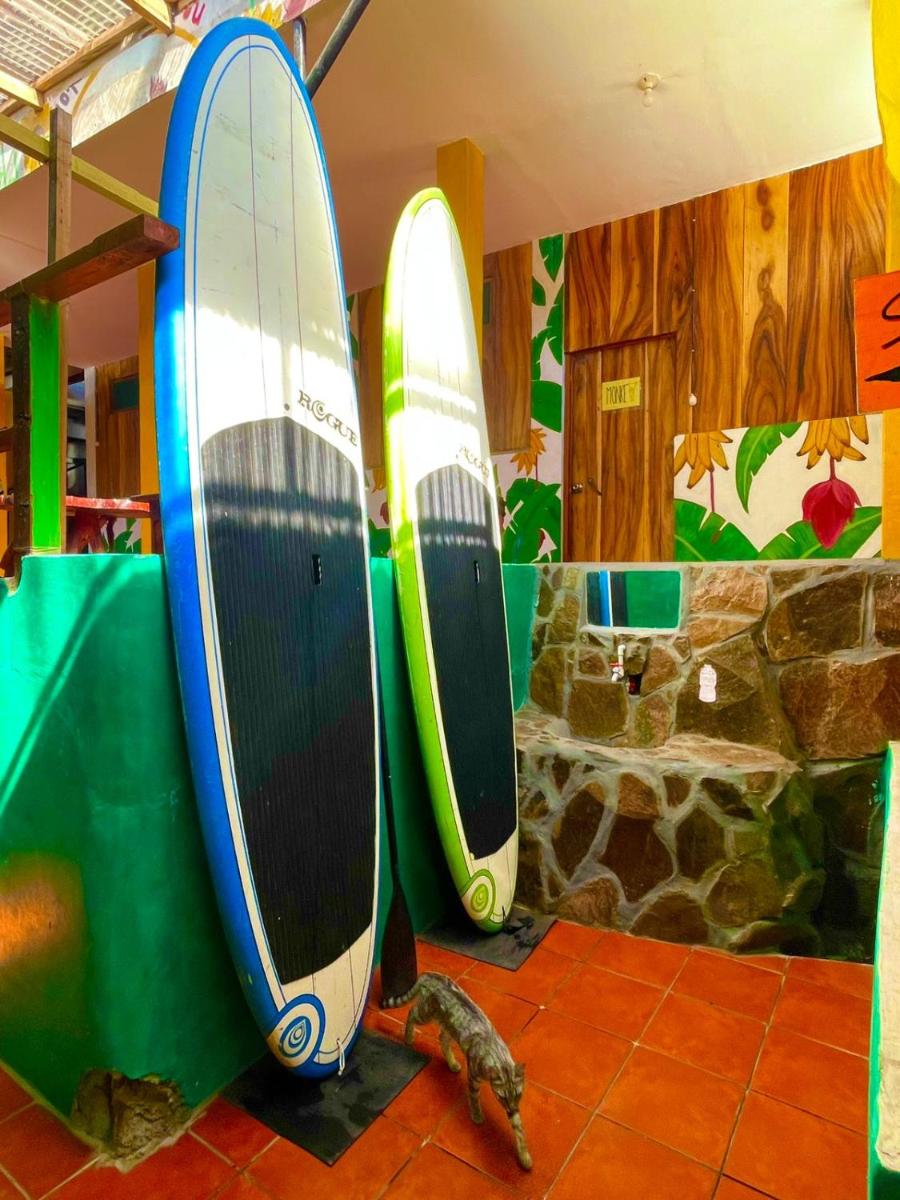 Lazy Crab Hostel - Housity