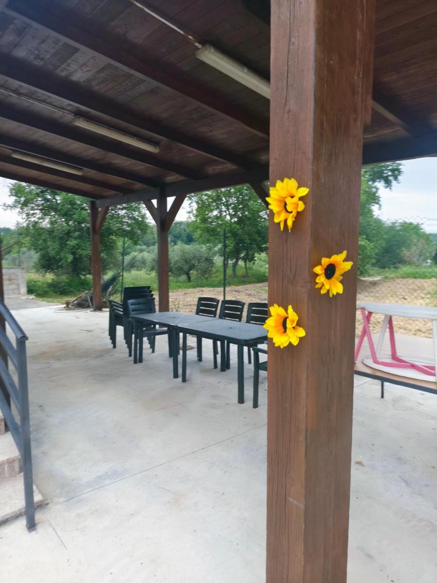 Il Girasole Del Sangro - Housity