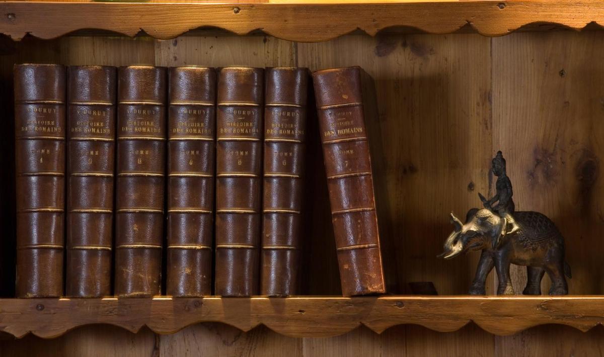 Bibliothèque dans l'hôtel