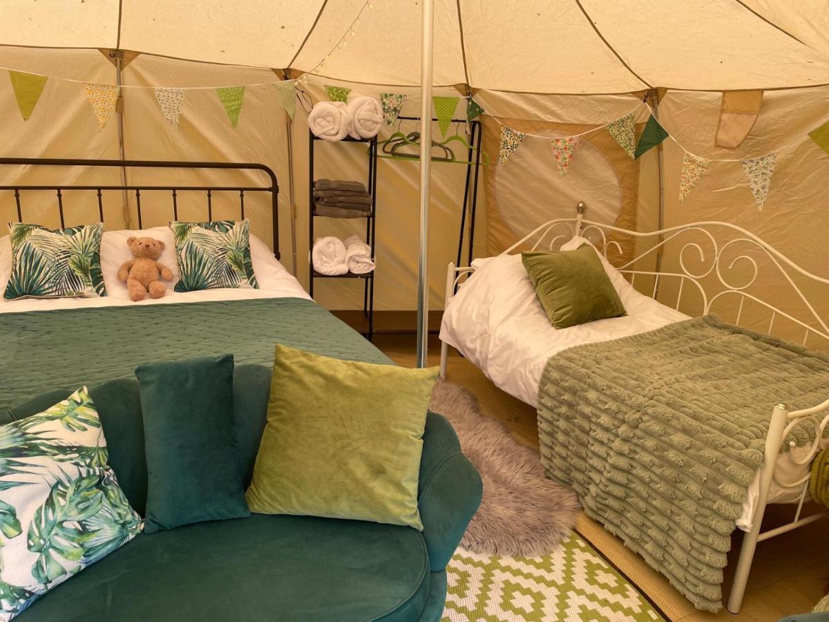 Stargazer Glamping UK Orion 4-Person - Housity