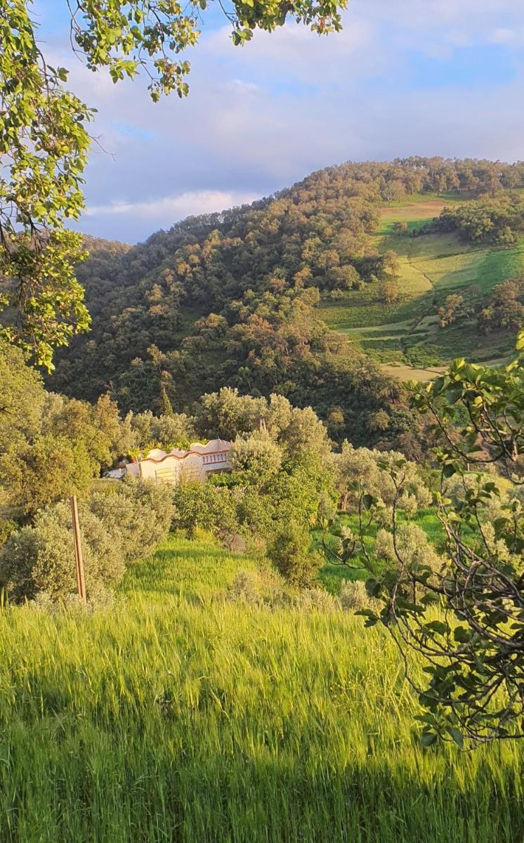 Gîte sanhaji tazekka - Housity