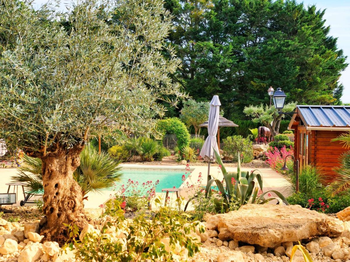 Cottage avec piscine au cœur du Saumur Champigny - Housity