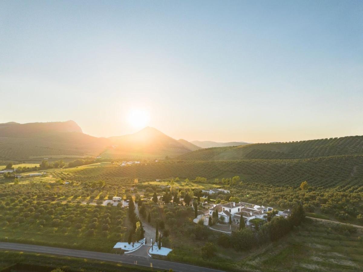 Finca Paradis, Pool, Jacuzzi, Gym and Sauna just 30 minutes from Malaga! - Housity