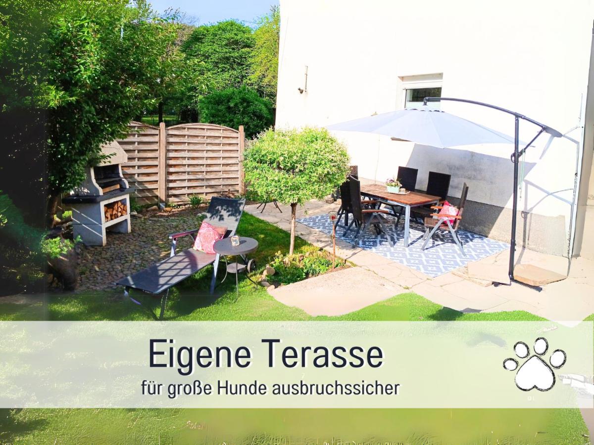 Ferienwohnung im Sauerland Hunde willkommen Kamin und Garten am Waldrand Muehls-Sauerland - Housity