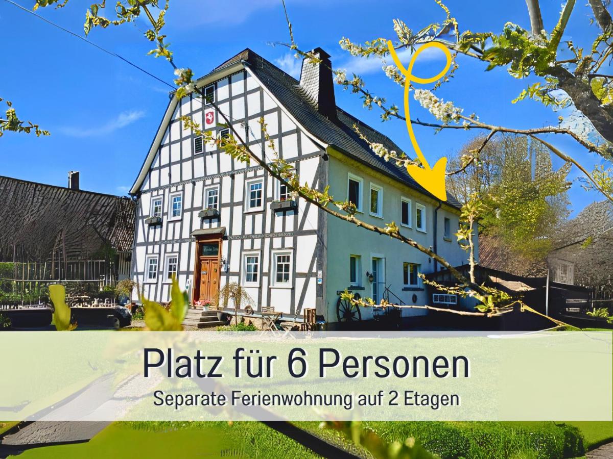 Ferienwohnung im Sauerland Hunde willkommen Kamin und Garten am Waldrand Muehls-Sauerland - Housity