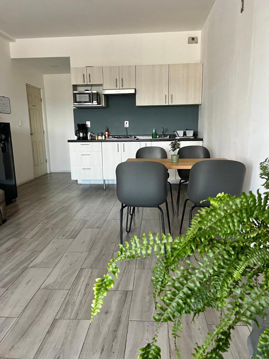KAVA lofts - Housity