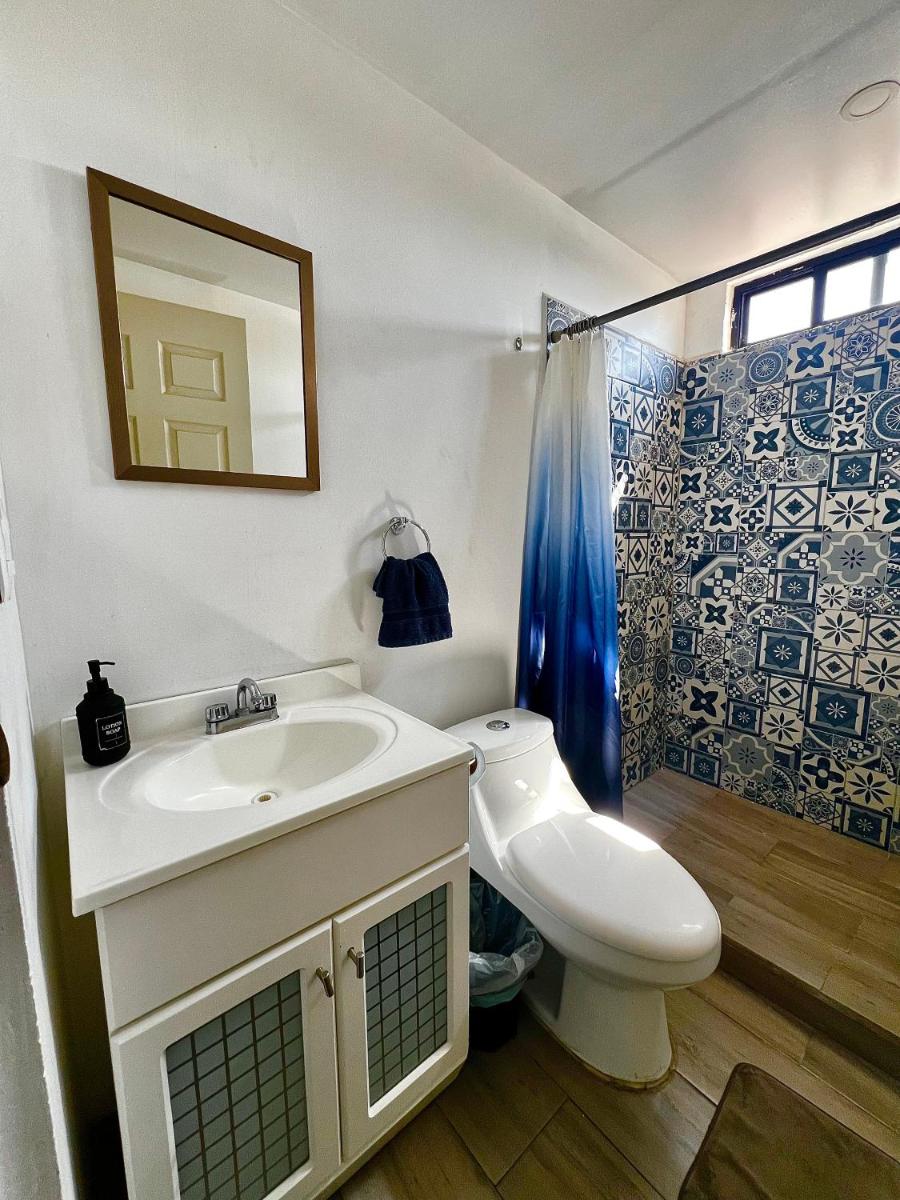 KAVA lofts - Housity