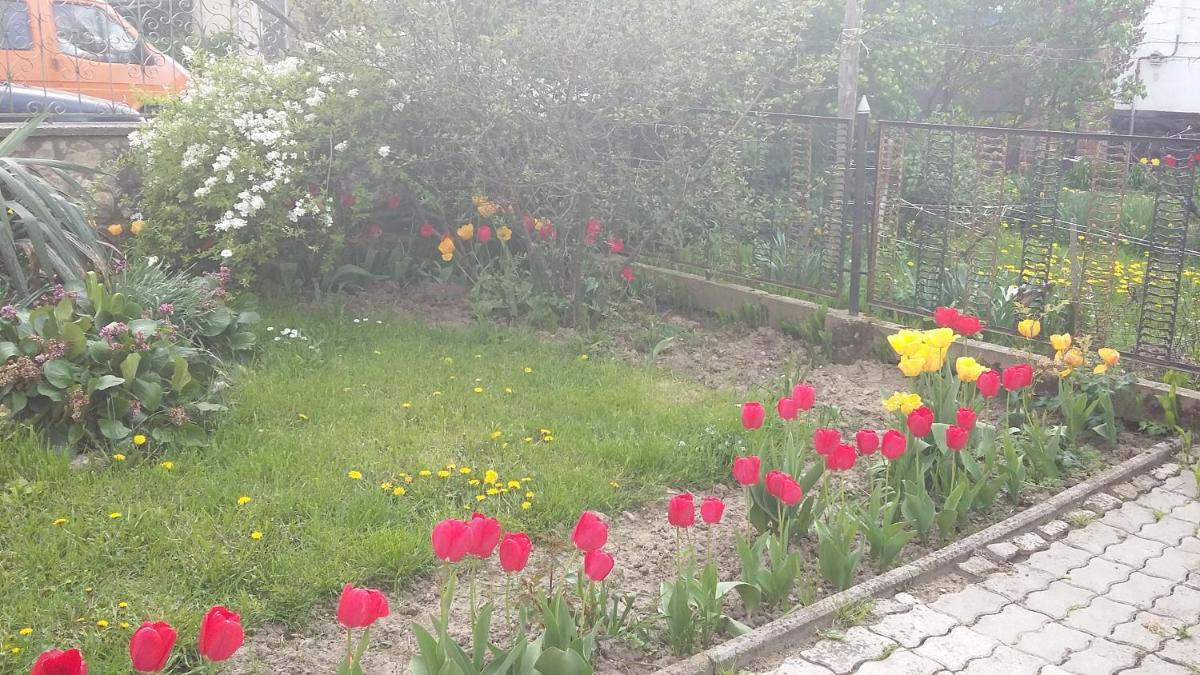 Álom Kuckó Apartman - Housity