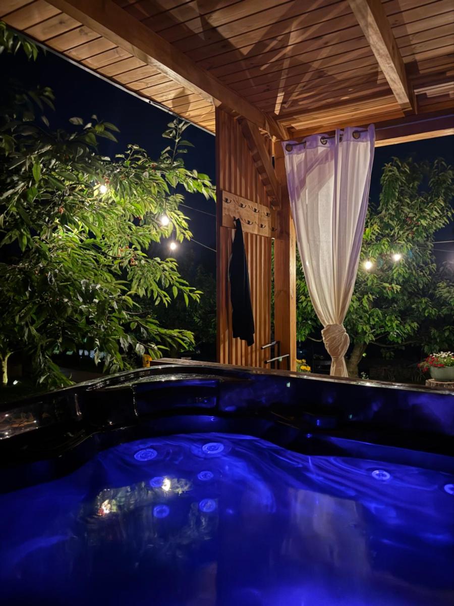 Czereśniowe Wzgórze Sandomierz jakuzzi - Housity