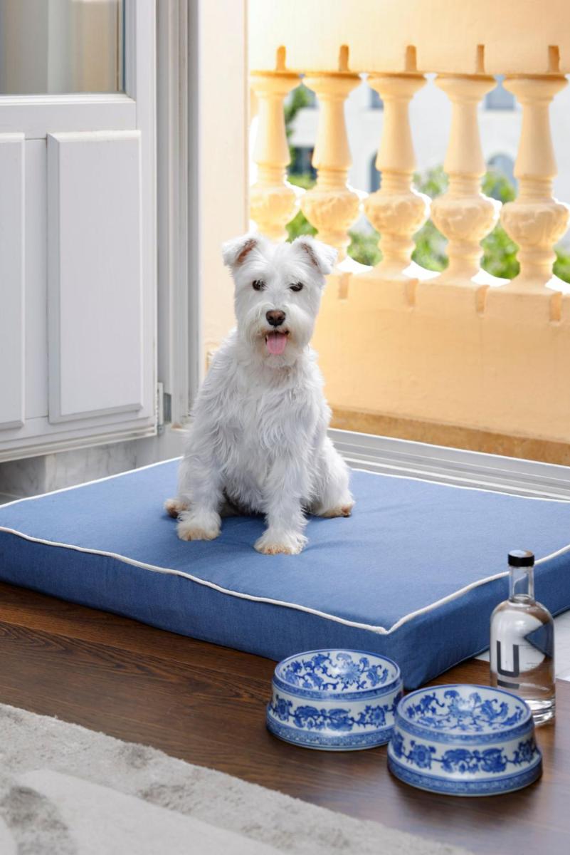 Mascotas con sus dueños en URSO Hotel & Spa, a Small Luxury Hotel of the World