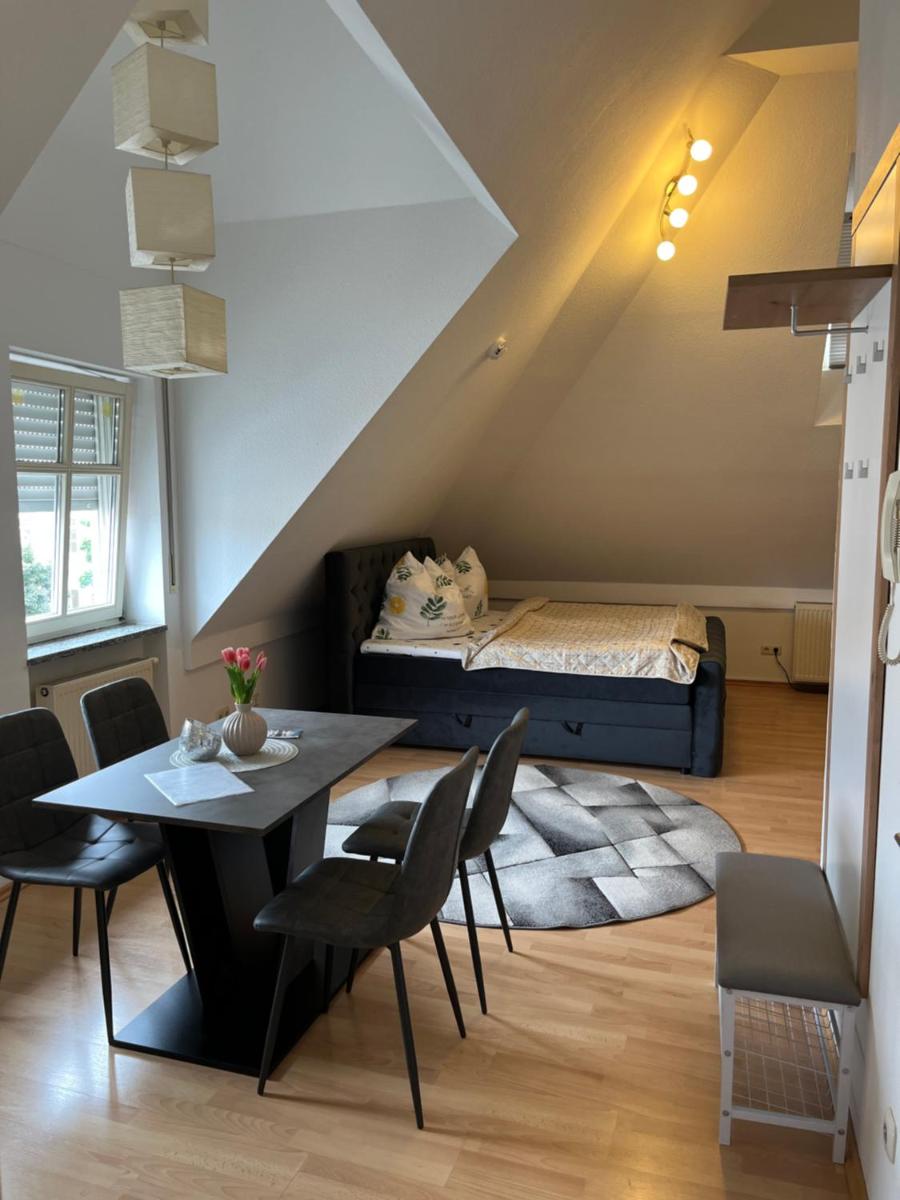 Zimmer zum vermieten direkt an der Donau und am Schloss - Housity