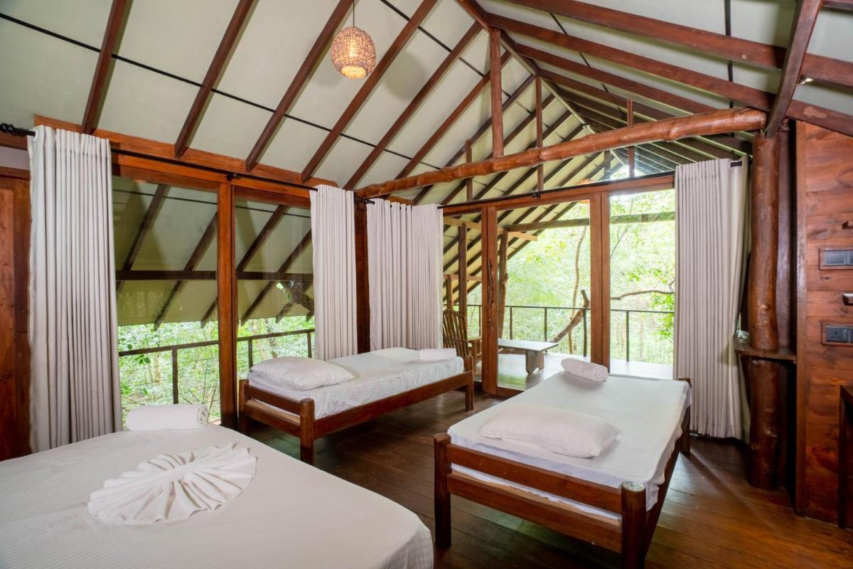 Kaala Kalaththewa Luxury Eco Resort - Housity