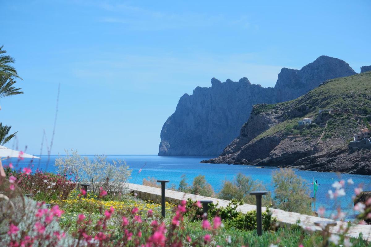 Paisaje cerca de este hotel