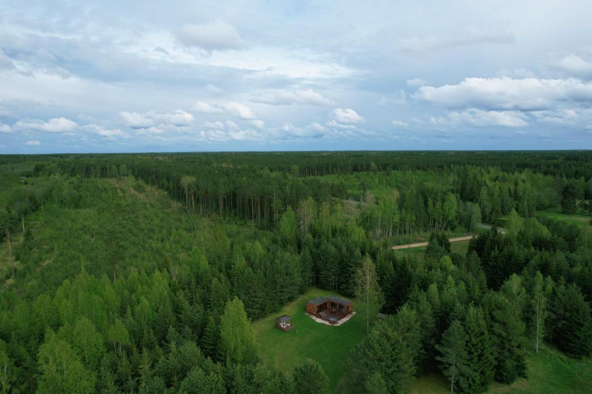 Roheluse metsamaja with hot tub and sauna - Housity
