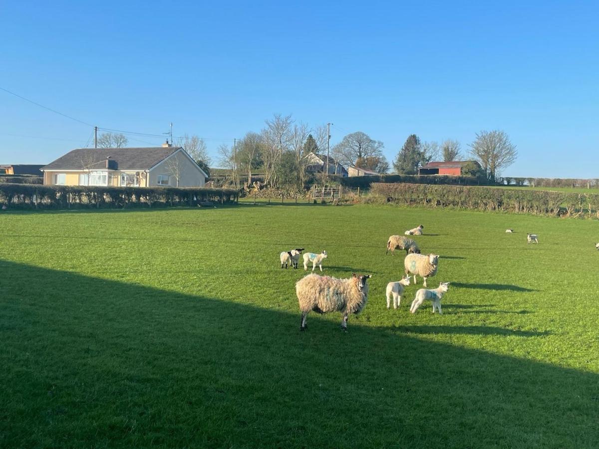 Granny's House - Kilrea - Housity