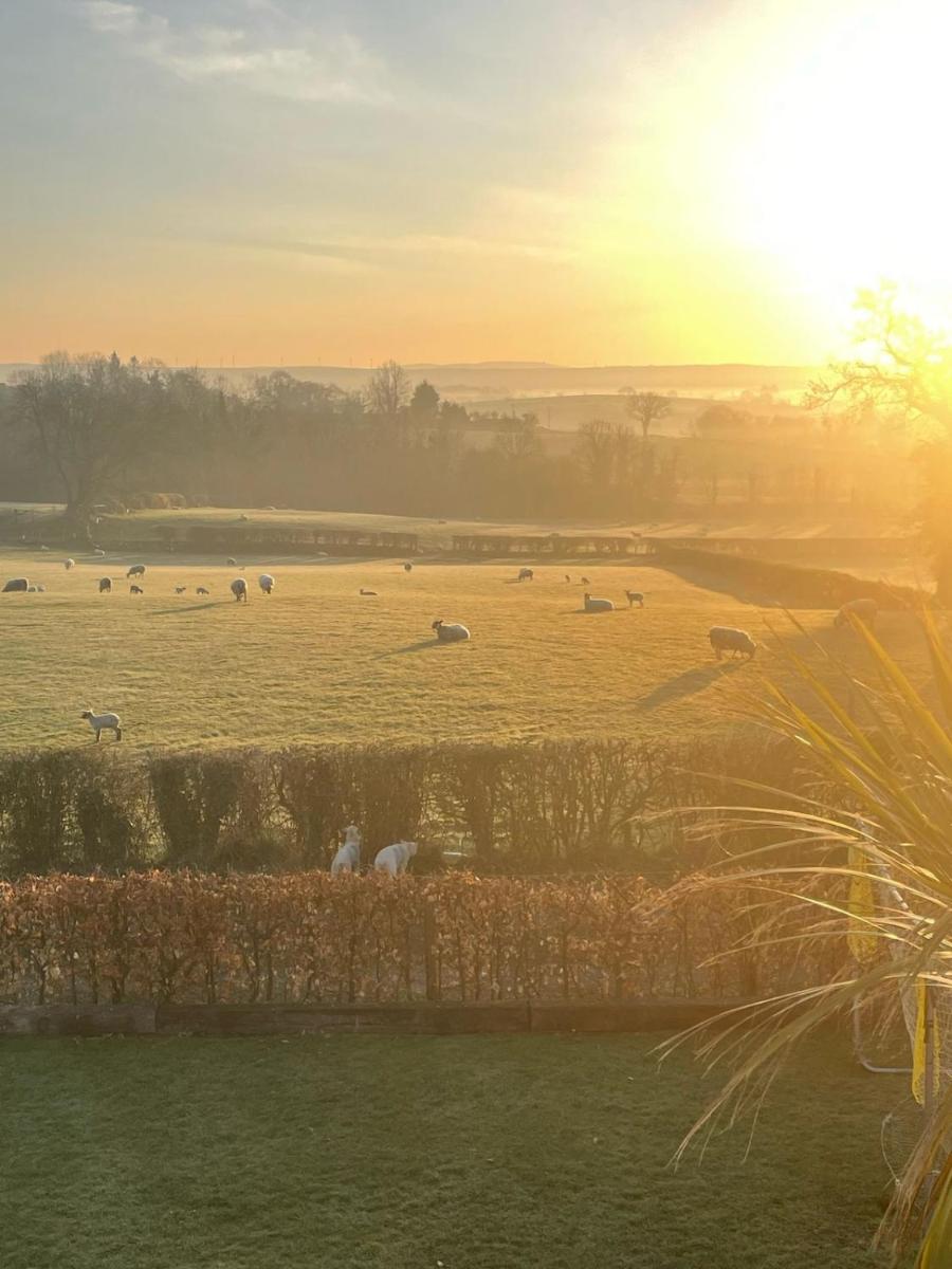 Granny's House - Kilrea - Housity