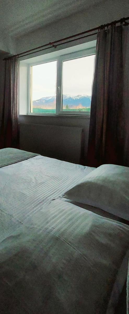 DAS Home-Vedere la Muntii Bucegi parcare gratuita - Hizvo